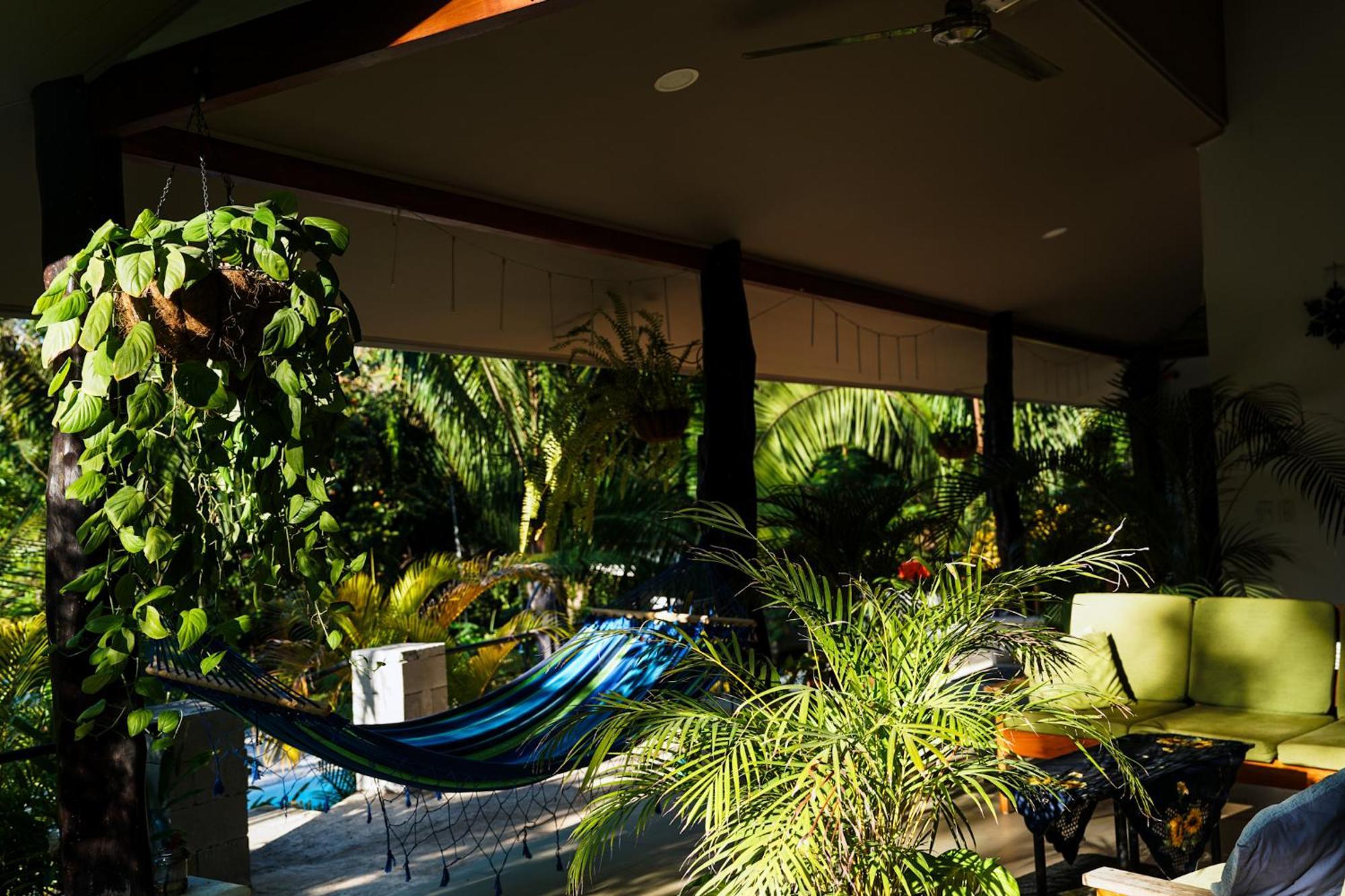 House In The Palm Forest Puerto Carrillo Exteriör bild