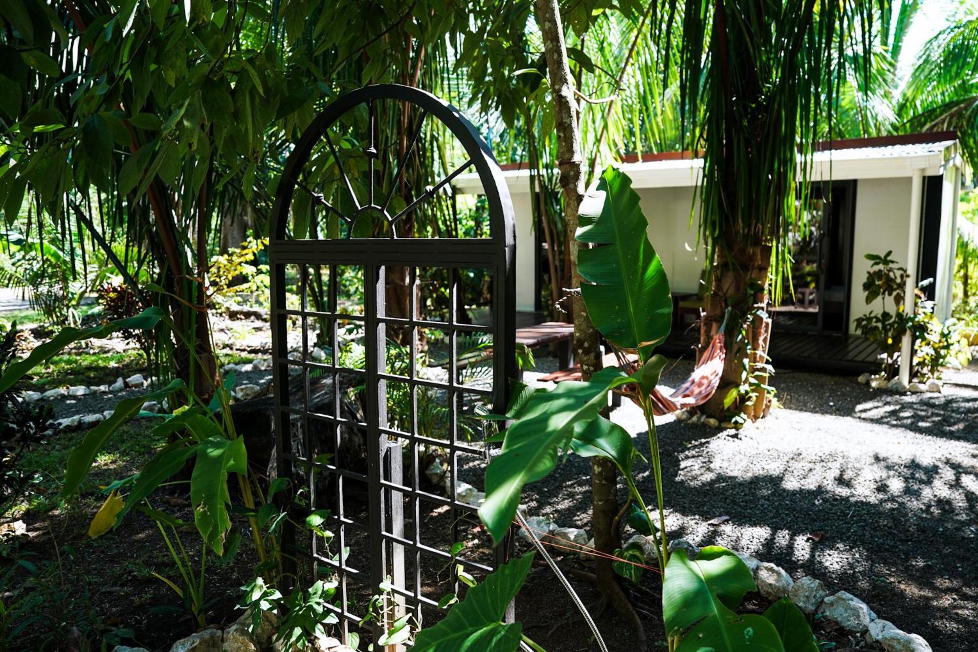House In The Palm Forest Puerto Carrillo Exteriör bild