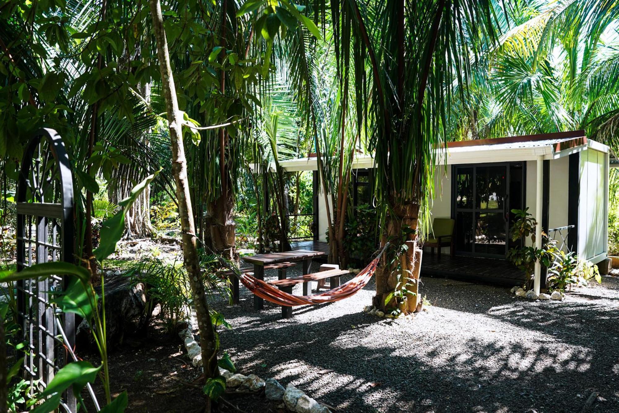 House In The Palm Forest Puerto Carrillo Exteriör bild