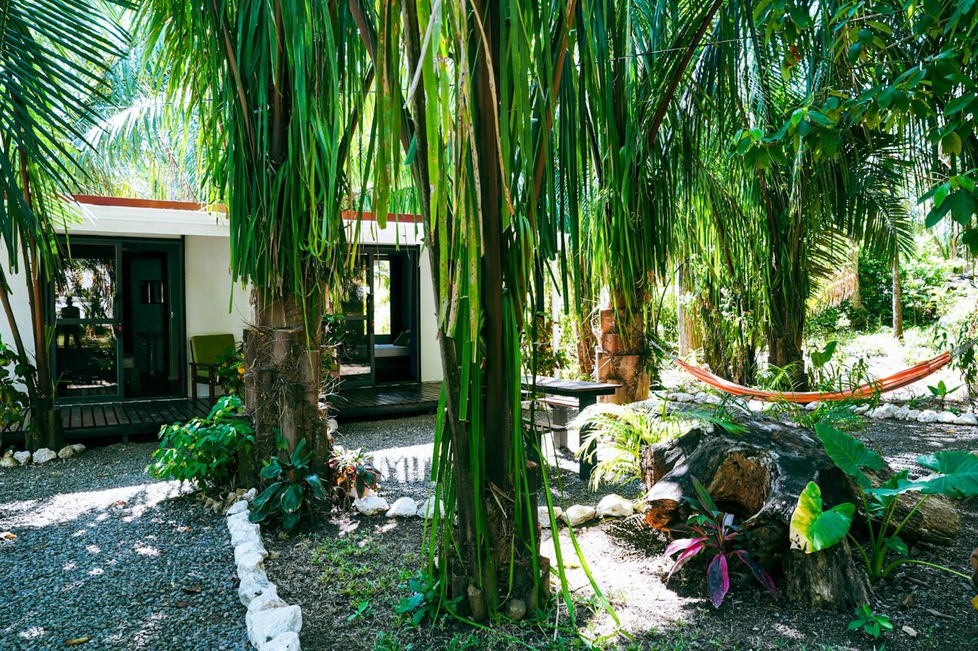 House In The Palm Forest Puerto Carrillo Exteriör bild