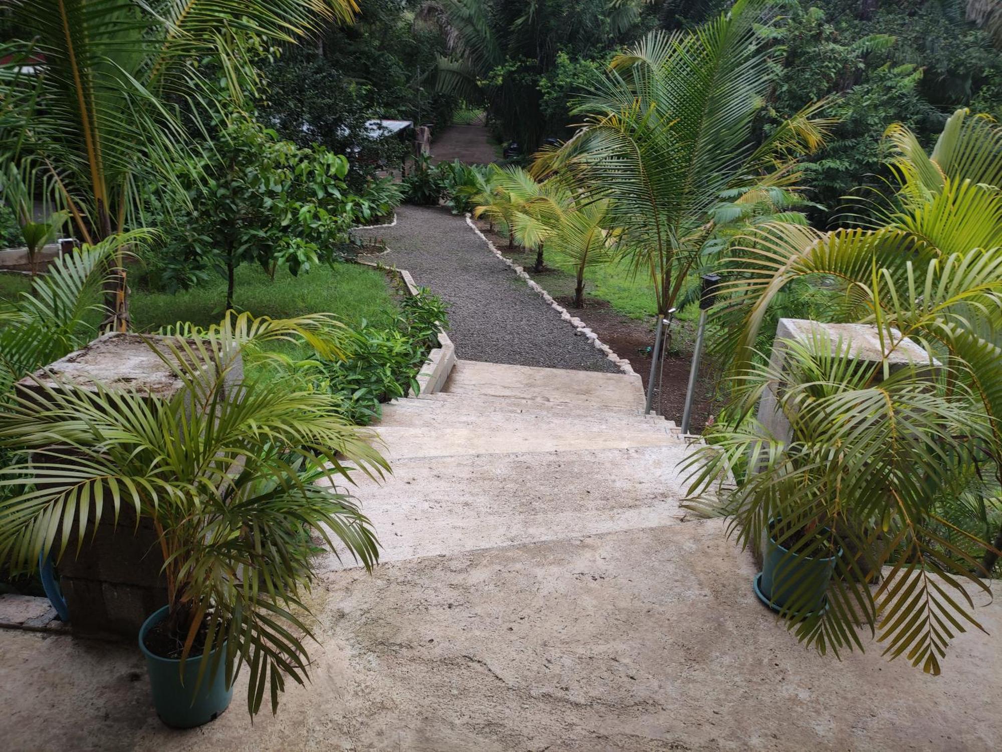 House In The Palm Forest Puerto Carrillo Exteriör bild